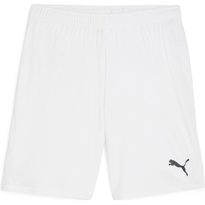 PUMA Teamgoal shorts l