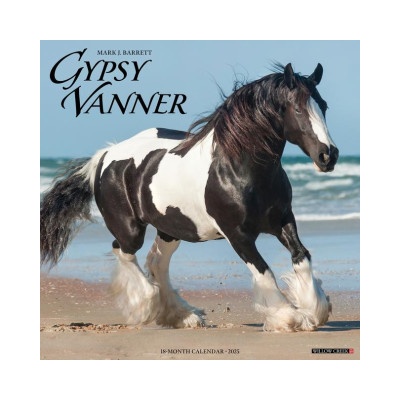 CAL 25 GYPSY VANNER HORSE WALL 2025