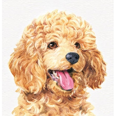 Бележник Bourgeois Куче 100х100 64 тв. к. бели (1120618-9206974-19370)