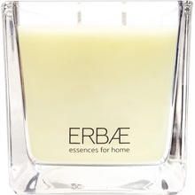 ERBAL OINOS 210 g