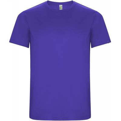 Imola pánske športové tričko krátkym rukávom fialová Mauve