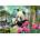 Educa - Puzzle Morning panda - 1 000 piese