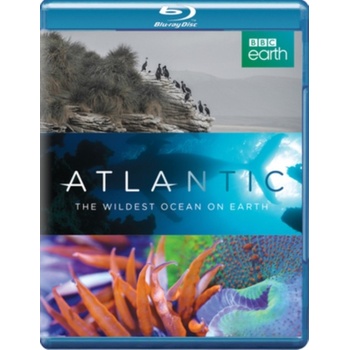 Atlantic - The Wildest Ocean On Earth BD