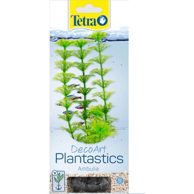 Tetra Limnophila sessiliflora (Ambulia) 30 cm