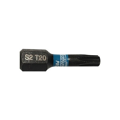 Bormann Pro T20x25mm 2ks BHT3696-2