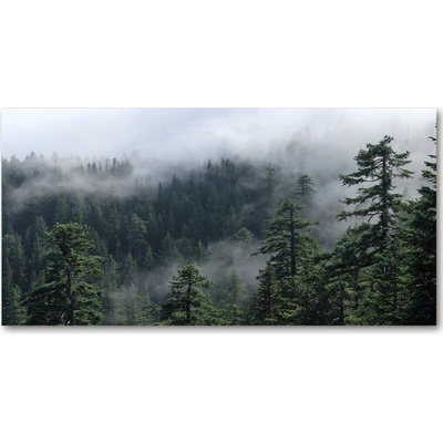 Foto obraz fotografie na skle lesné hmla 100x50 cm