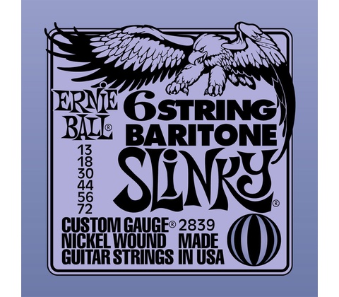 Ernie Ball 2839