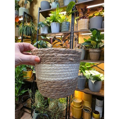 obal trávový na pr. 19 cm Miluna