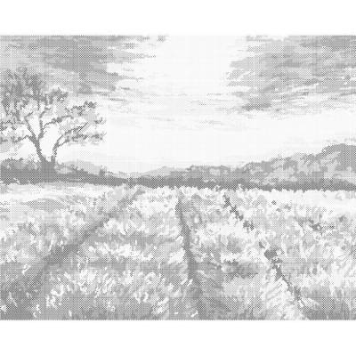 ZUTY Bodkovanie - LEVANDUĽOVÉ POLE V PROVENCE Rámovanie: bez rámu a bez vypnutia plátna, Rozmer: 40x50 cm