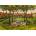 Castorland - Puzzle Art Collection: Patio - 1 500 piese