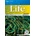 Life Beginner Workbook + Audio CD