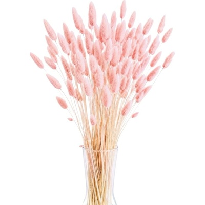 Sušený lagurus (králičí ocásek) světle růžový/soft pink 90g-95g