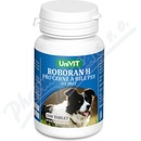 Roboran H pro psy Č+B 100 tbl