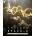Endless Space 2 - Lost Symphony
