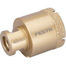 Festa 24767