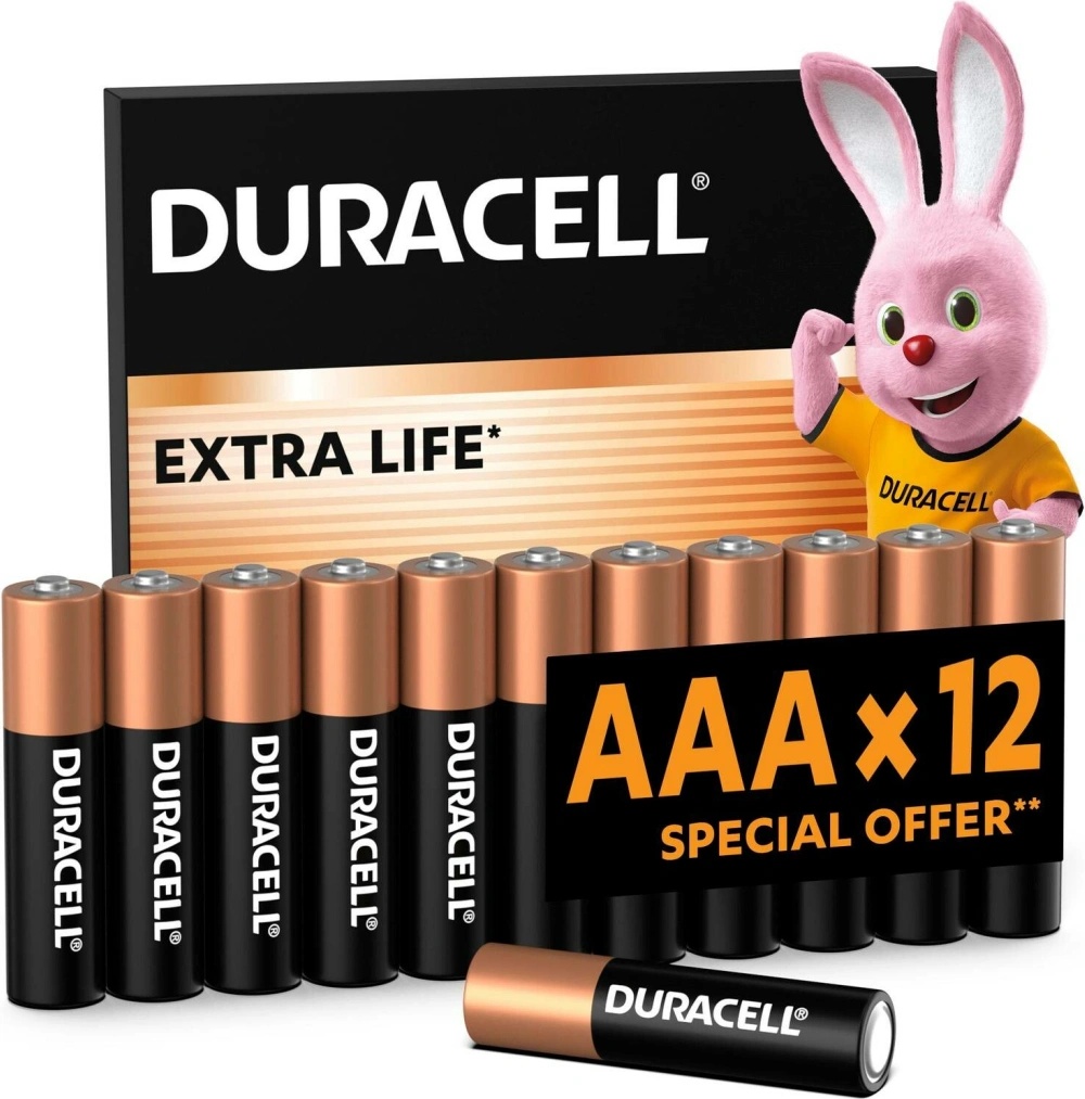 Duracell Basic 12ks AAA 42325