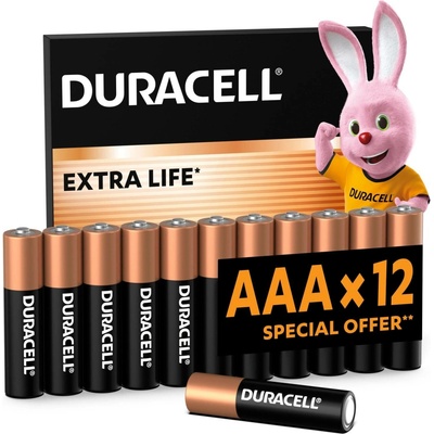Duracell Basic 12ks AAA 42325