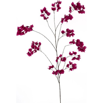 Bugenvilea 'Ibiza' červená (beauty) V175 cm