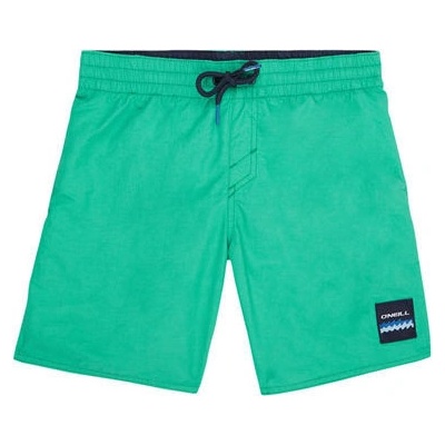O'Neill PB Vert Shorts zelená