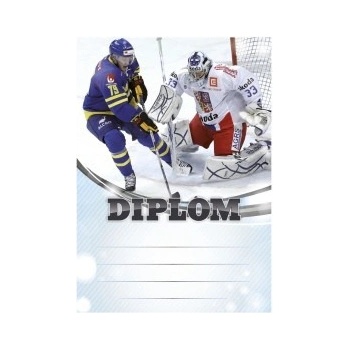 Diplom 6607