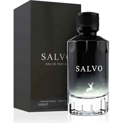 Maison Alhambra Salvo parfumovaná voda pánska 100 ml