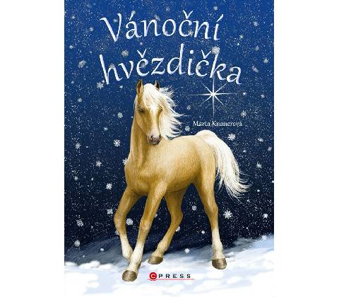 Vánoční hvězdička