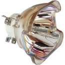 Lampa do projektora Viewsonic RLC-103, Kompatibilná lampa bez modulu