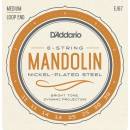 D´Addario EJ67