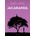 Jacaranda