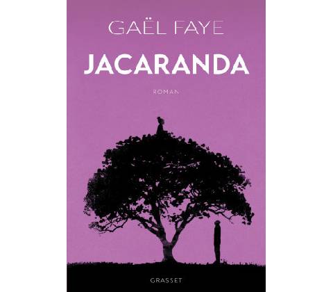 Jacaranda