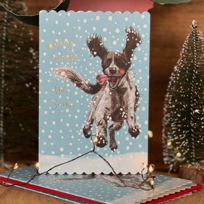 ProNice Karnet Sviatky Spaniel v snehu