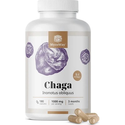 Mycoway Chaga 1000 mg – extrakt 5:1, 180 kapsúl