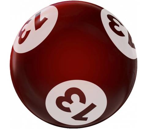 Bingo vrtané 13
