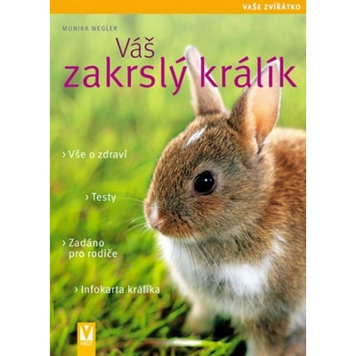 Šály, šátky, návleky