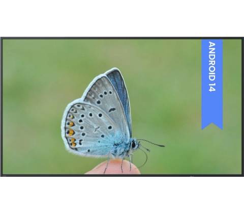 BENQ ST5504