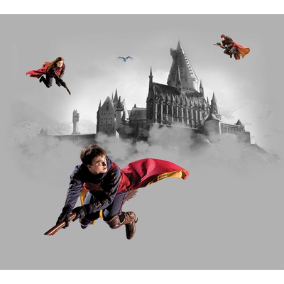 AG Design FTD4P 5095 Vliesová fototapeta Harry Potter, rozměry 300 x 270 cm