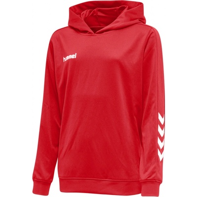 Hummel PROMO KIDS POLY HOODIE 208318-3062