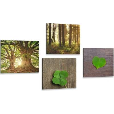 Set obrazů vánek přírody - 4x 60x60