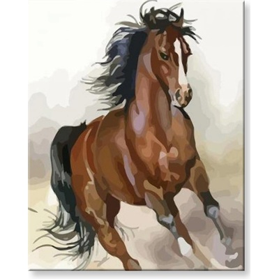 Malování podle čísel Kůň v běhu – Zboží Dáma