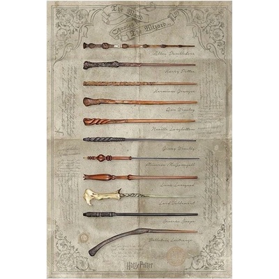 Plagát - Harry Potter (The Wand Chooses The Wizard)