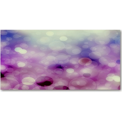 Fotoobraz na skle fialové kola 100x50 cm