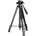 Levenhuk Level Plus VT10 Tripod 78397