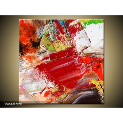 Moderní obraz F000088F7070 (Jednodílný 70x70 cm)