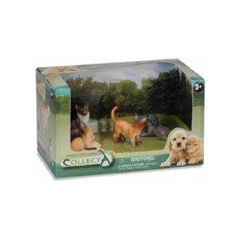 CollectA Set of 4 cats