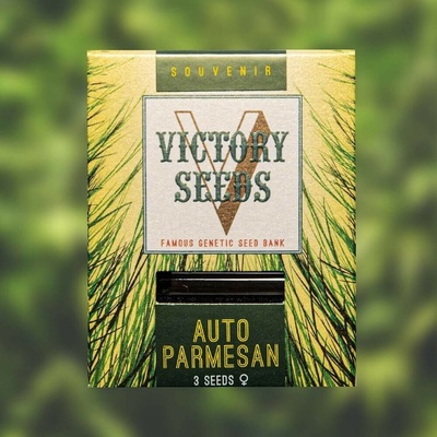 Victory Seeds AUTO Parmesan semena neobsahují THC 10 ks