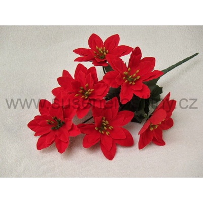 www.susenerostliny.cz kytka poinsetsia 7 květů, cena za 3ks