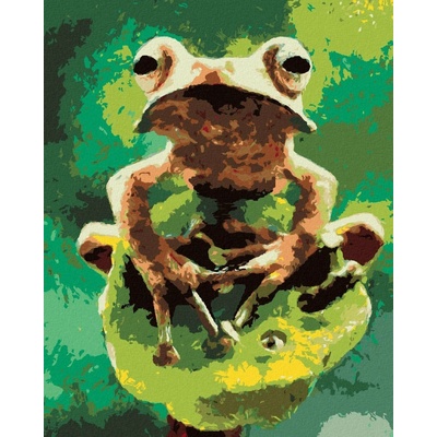 ZUTY Malování podle čísel ŽÁBA V LESE 80 x 100 cm