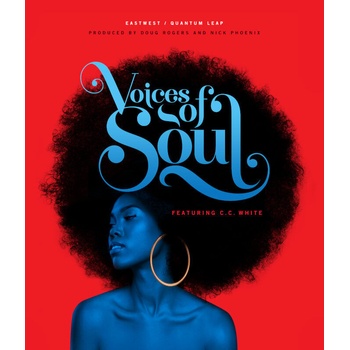 Image 1 of Sounds Online Voices Of Soul