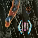 Spooky - Lush LP