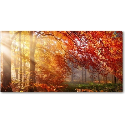 Foto obraz fotografie na skle jesenné les 100x50 cm